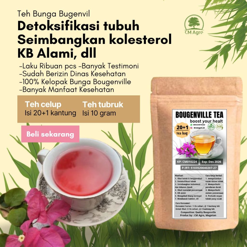 Teh Herbal Menyehatkan, Meredakan Batuk, panas dalam, KB alami | Bunga Bugenvil (kertas) Murni