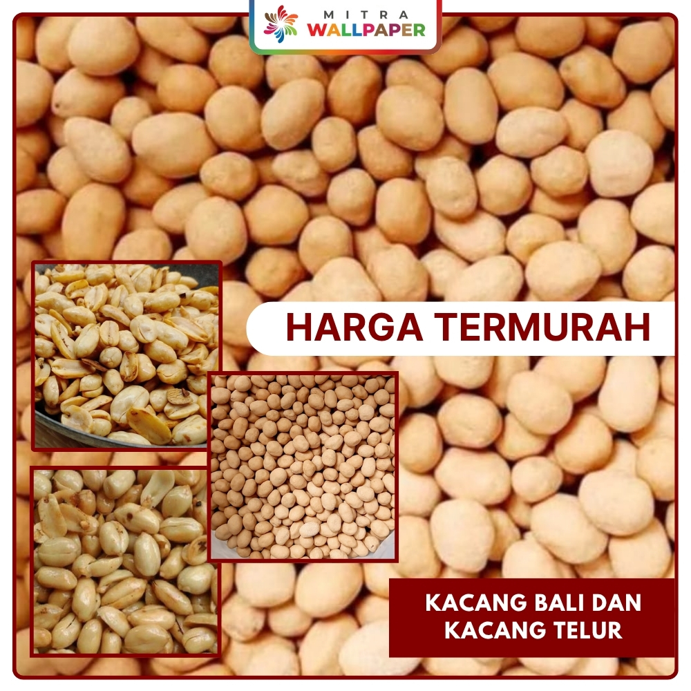 Cemilan Jajanan Kacang Bali Asin Gurih Bawang Camilan Snack Kacangan Telur Oven Atom Renyah