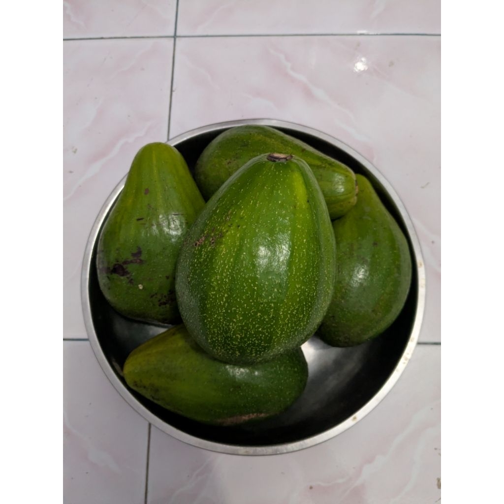 ALPUKAT MENTEGA ALIGATOR 1 kg(ISI 2-3)