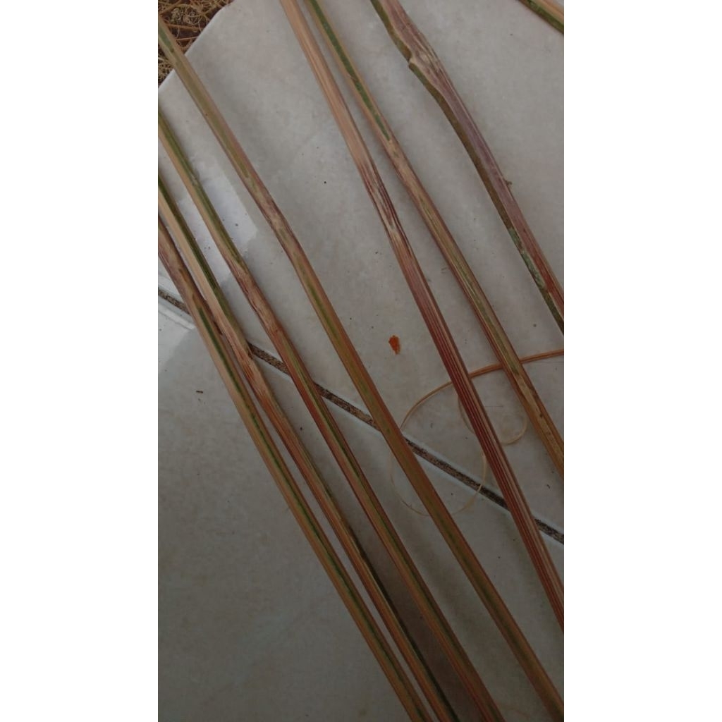 arku layangan bomber 150cc (10 pasang)