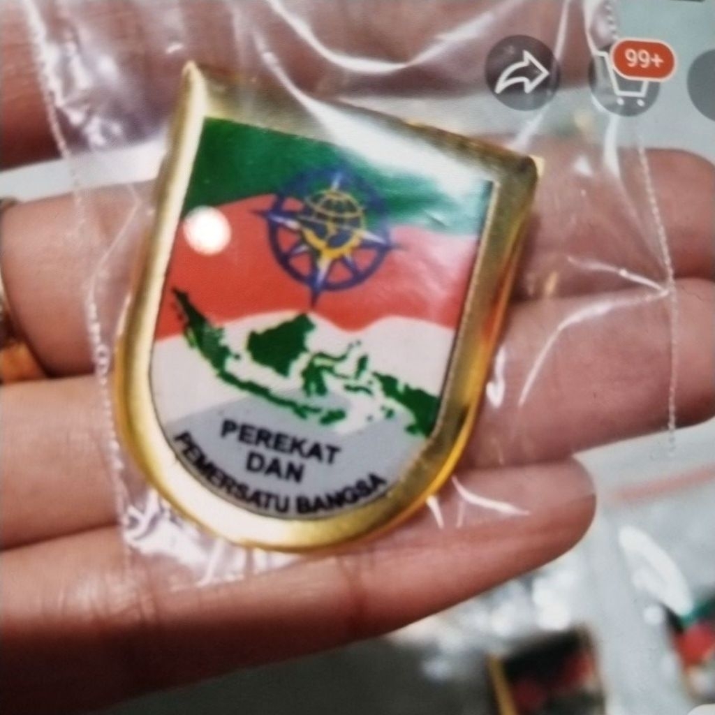 pin pemersatu bangsa