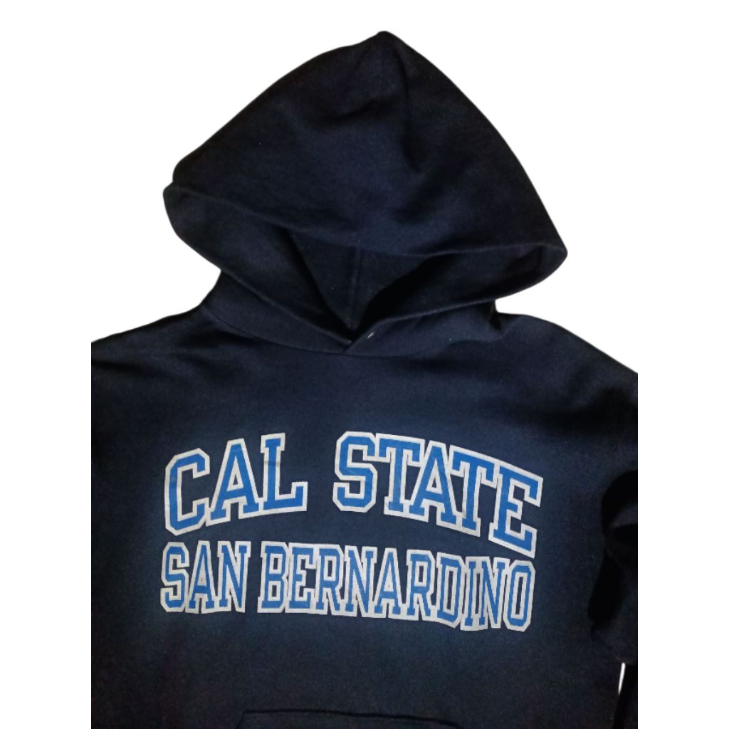 Hoodie Champion Eco M-L