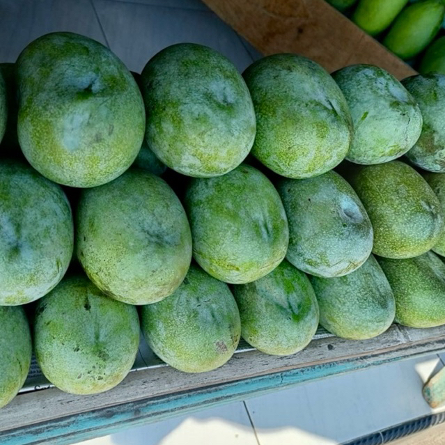 MANGGA MANALAGI - KARTON 10kg (Asli Probolinggo)
