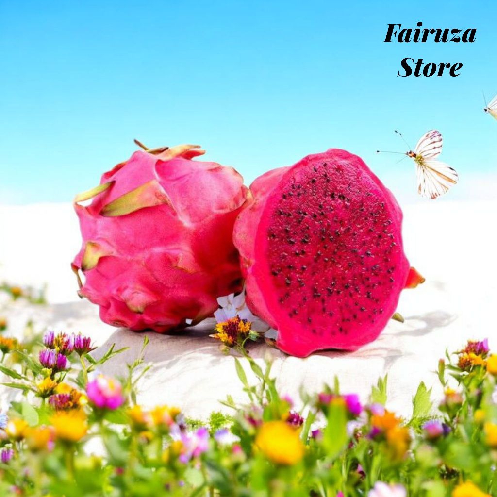 Buah Naga Segar 1 Kg