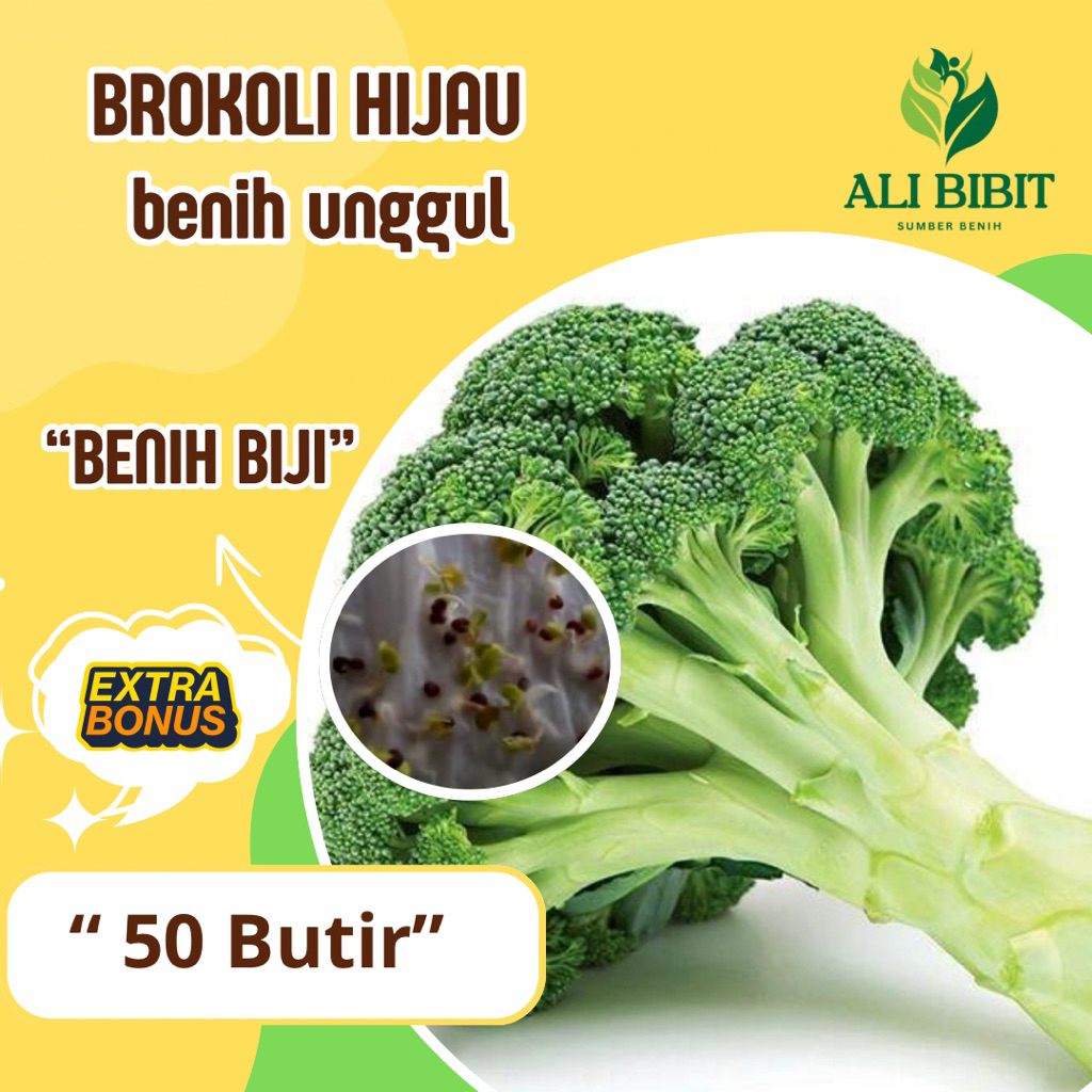 50  Butir > Benih Biji Brokoli Hijau> Bibit Brokoli Hijau>Bonus Benih