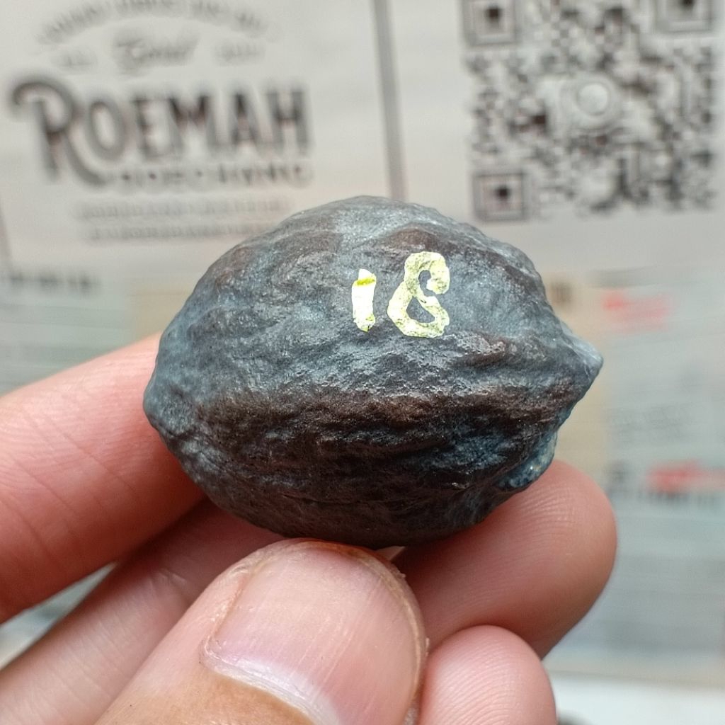 Muncang Adu Pait JR kode 18