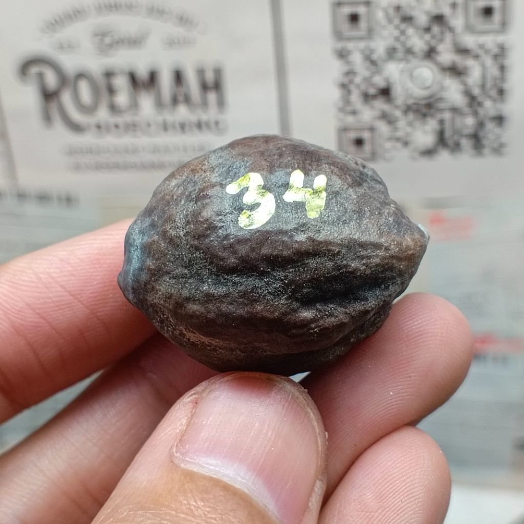 Muncang Adu Pait JR kode 34