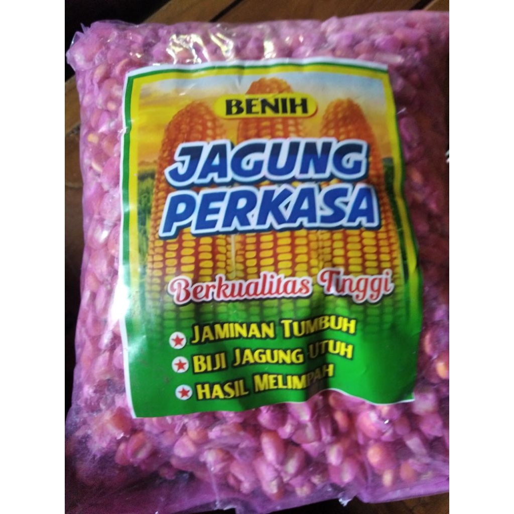Bibit jagung perkasa,sumo bibit turunan berkualitas