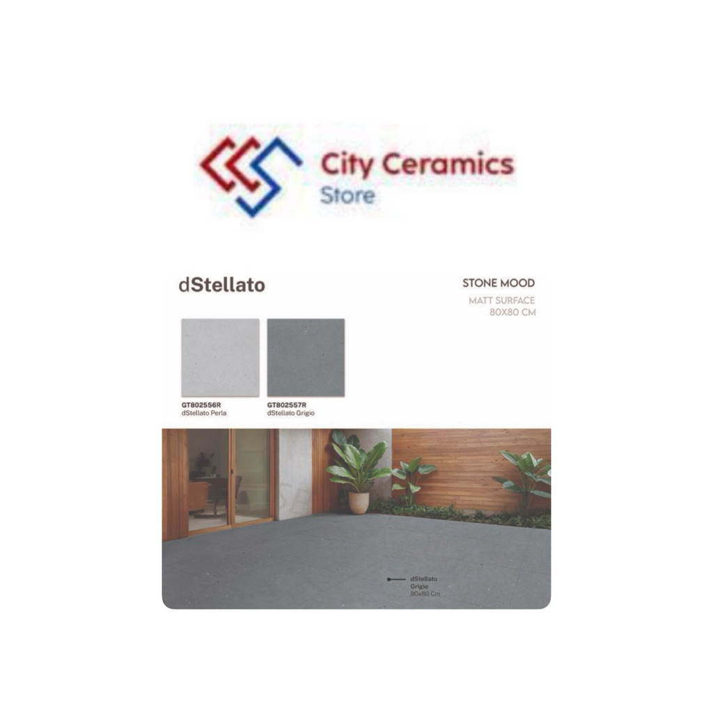 ROMAN GRANIT DSTELLATO GRIGIO 80x80