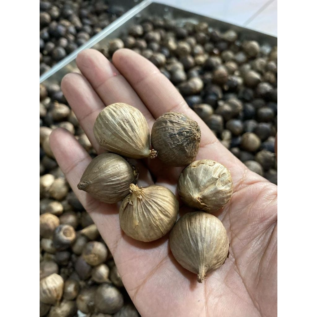 BLACKGARLIC BAWANG HITAM TUNGGAL  1 KG
