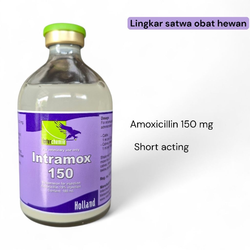 Intramox 100 ml / Intramox Short Acting 100 ml/ Interchemie Holland