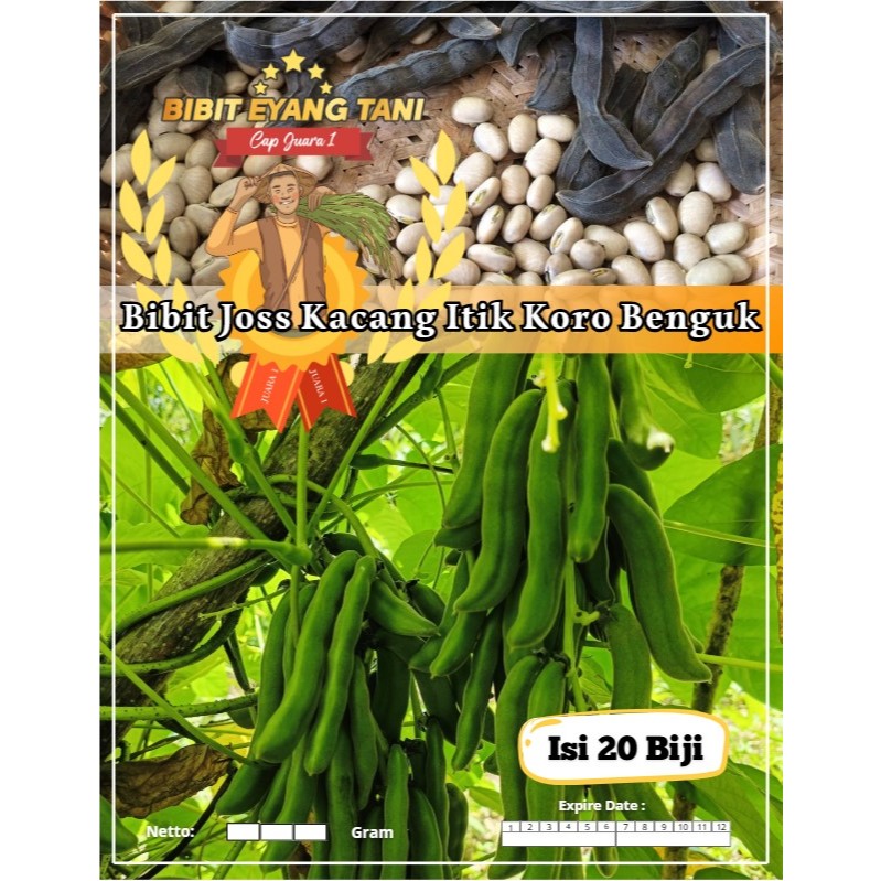 Bibit Joss Kacang Itik Koro Benguk | Biji Benih Kacang Koro Benguk | Mucuna pruriens