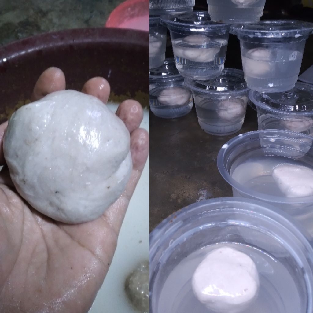 lem pulut burung | jebakan burung | pulut getah bendo getah karet