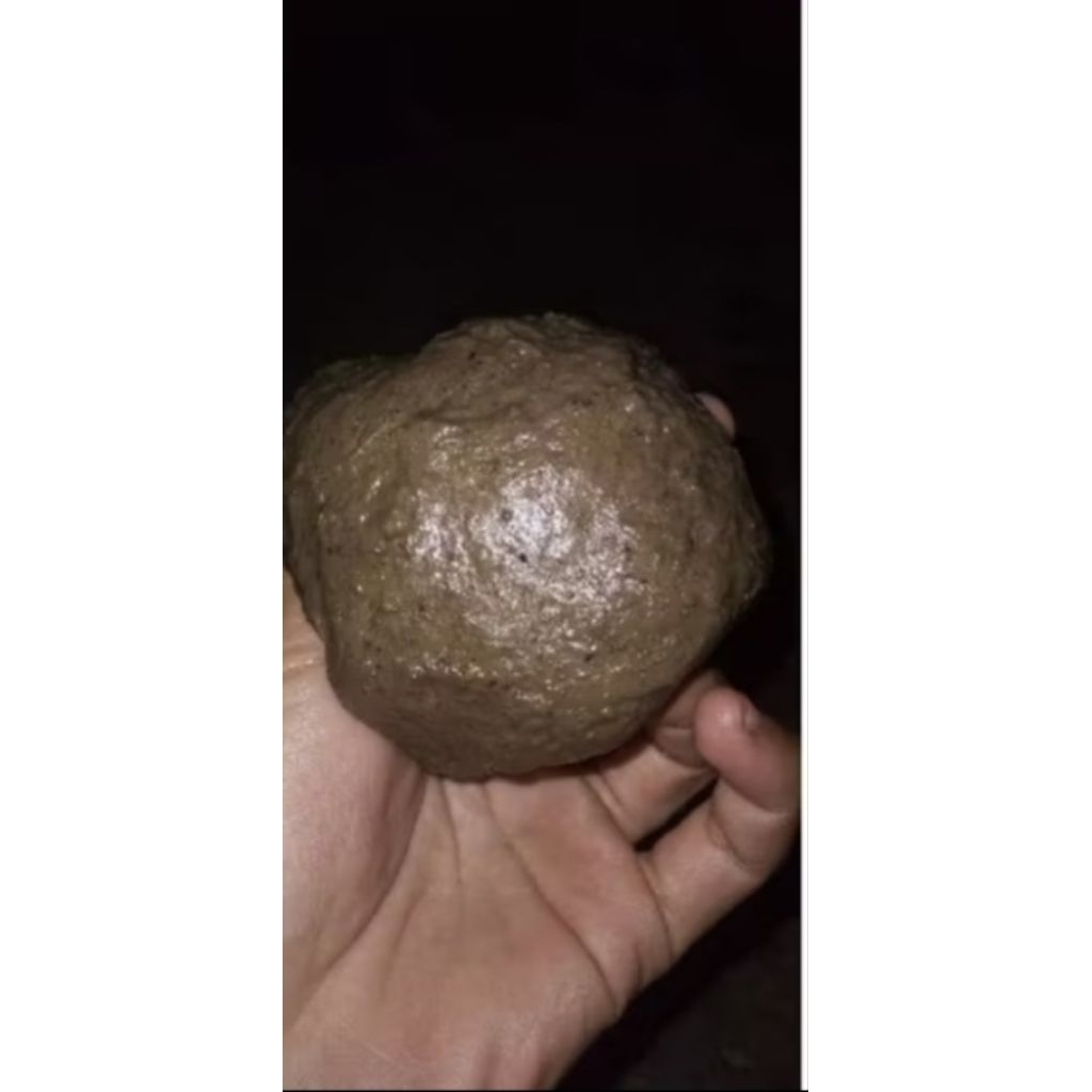 lem pulut 100gr | pulut burung | pulut getah bendo getah karet | pulut burung