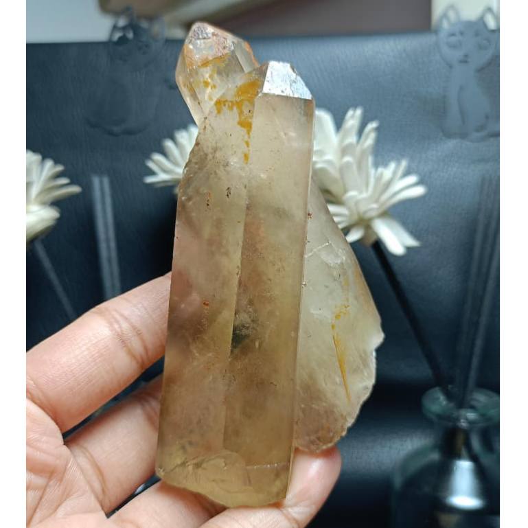 Natural Citrine Pointer Rough (5)