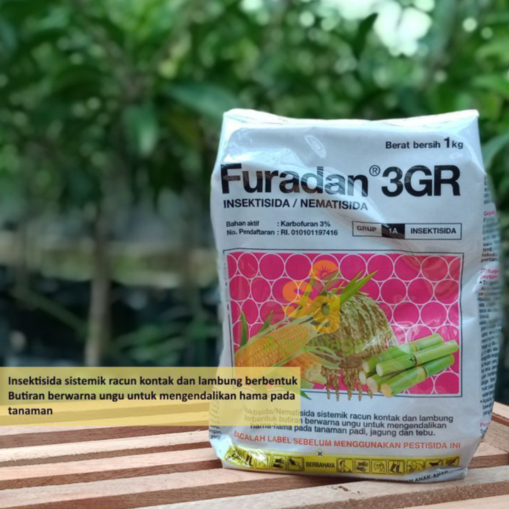 Insektisida Furadan Pembasmi Hama Tanah