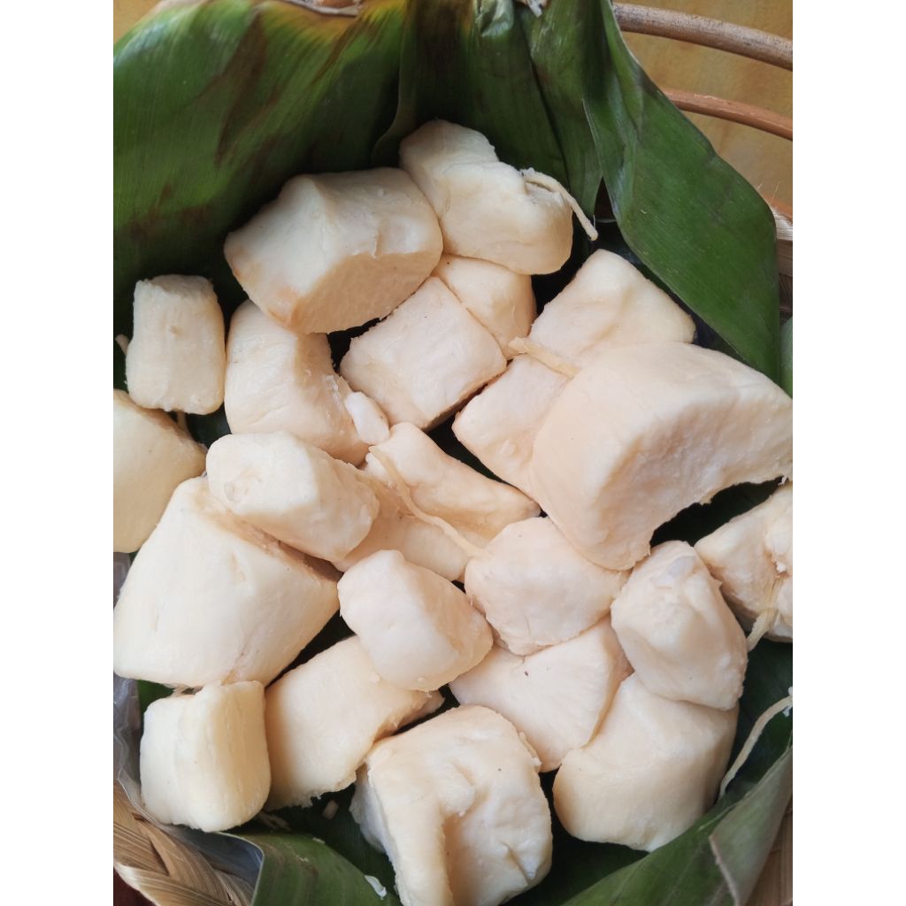 tape singkong ketela pohon