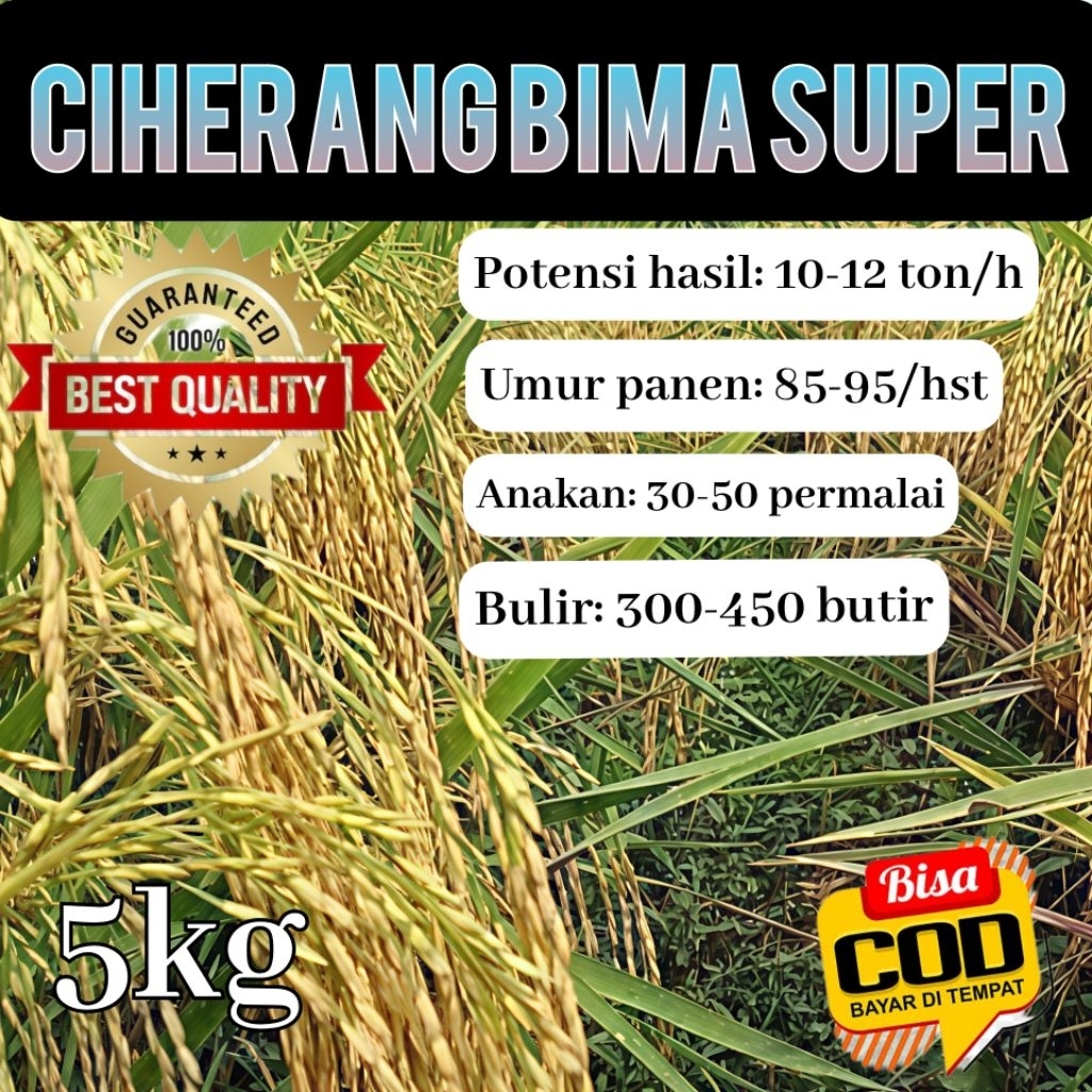 Bibit benih padi Ciherang Bima Super /atau Ciherang Bima sakti Malay panjang kemasan 5kg