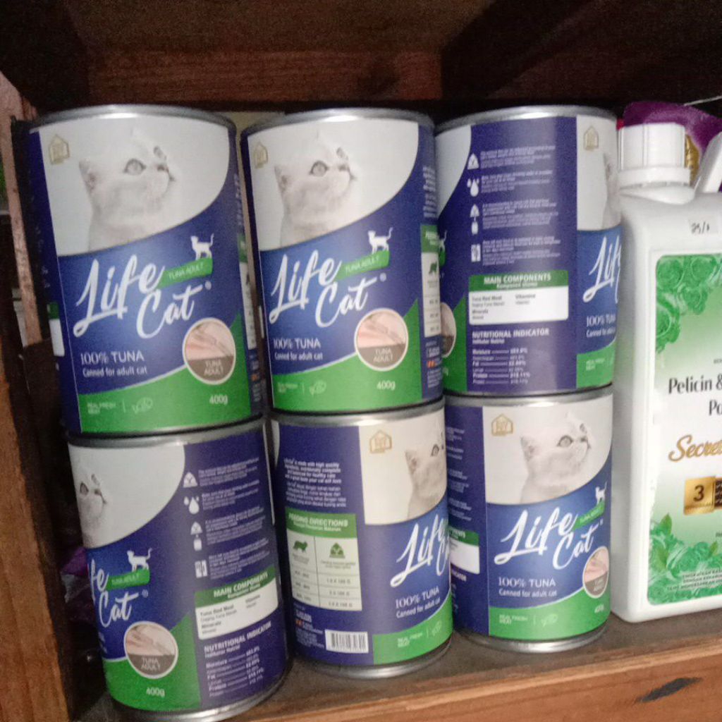 makanan kucing,pakan kucing, pakan kucing basah