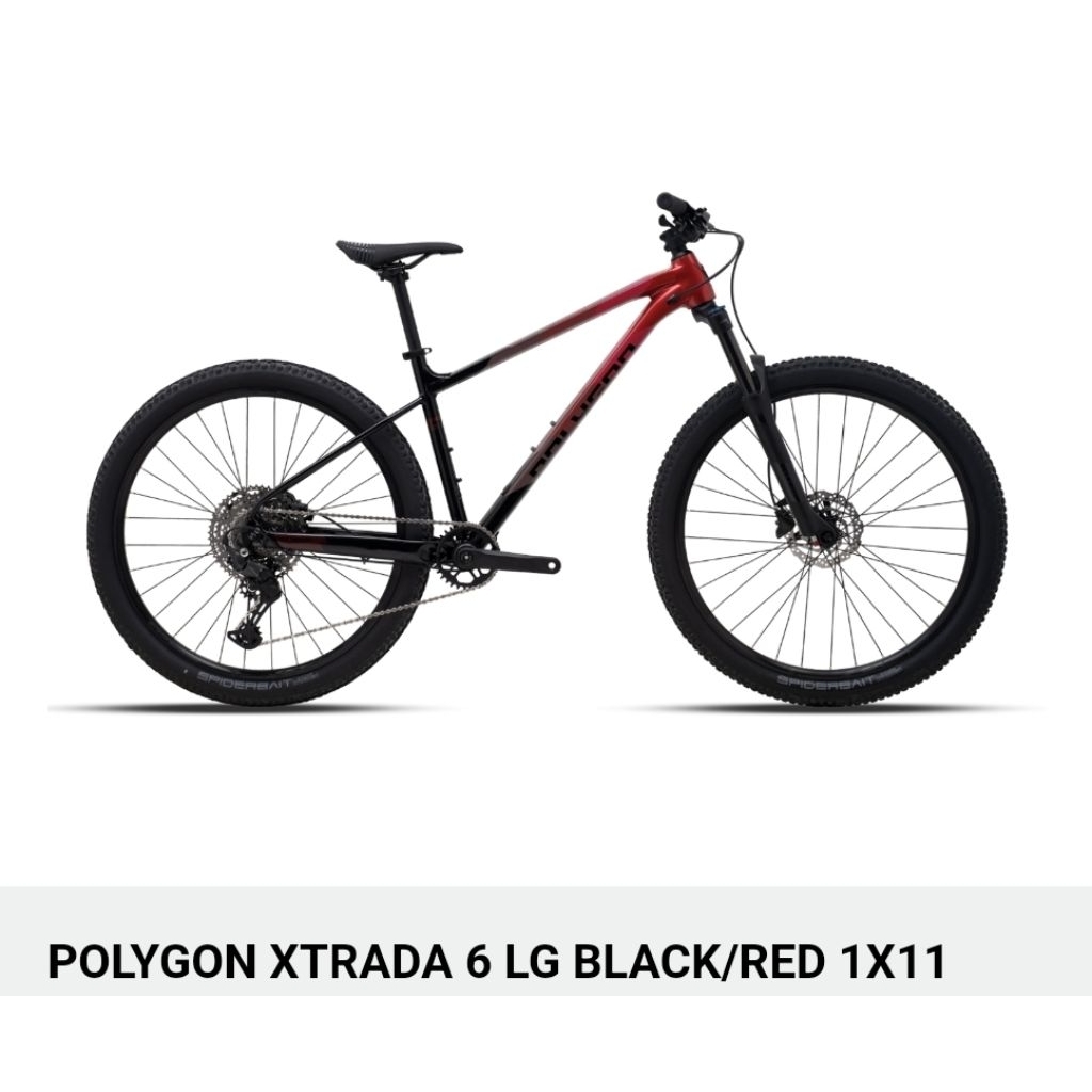 Sepeda Gunung Dewasa POLYGON XTRADA 6 MTB 2 X 11 SP dan 1 x 11 SP