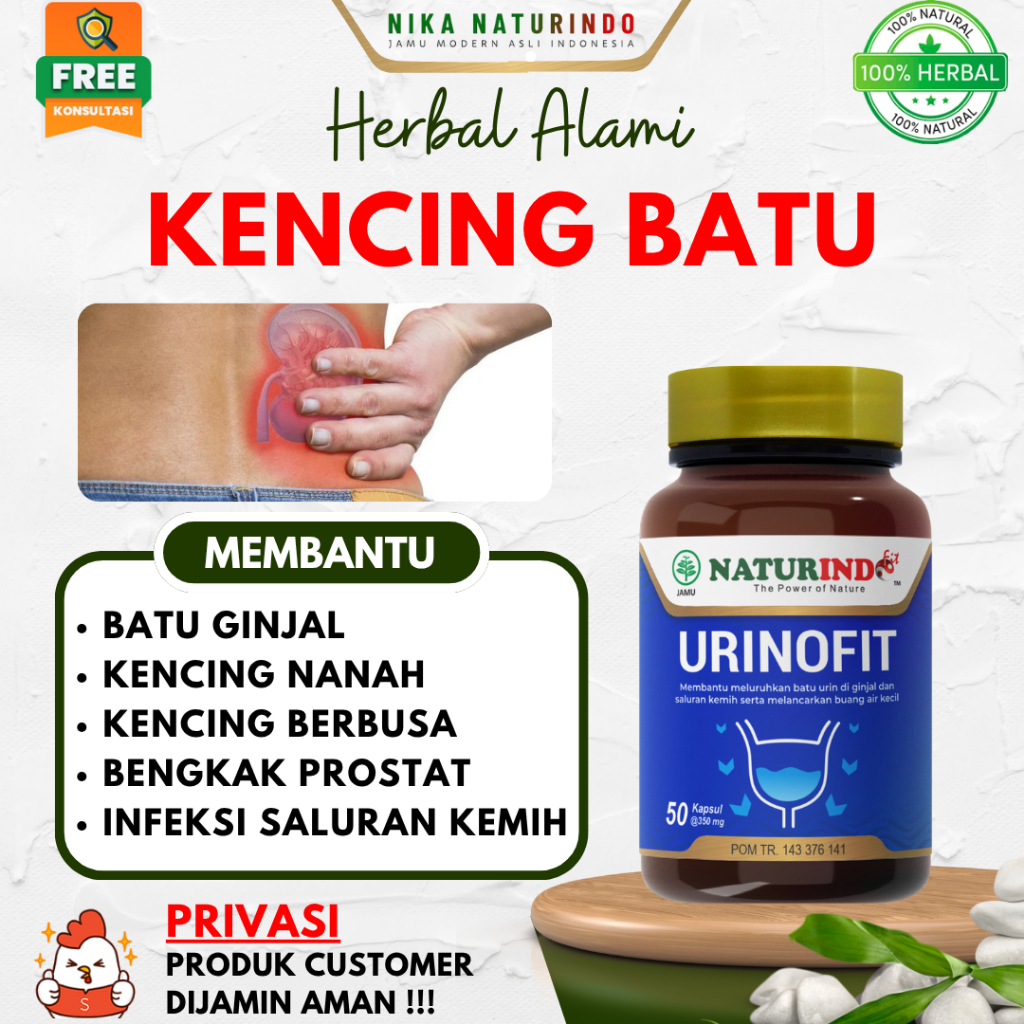 URINOFIT Obat Herbal Kencing Batu Prostat Infeksi Saluran Kemih Kencing Nanah Berbusa Naturindo
