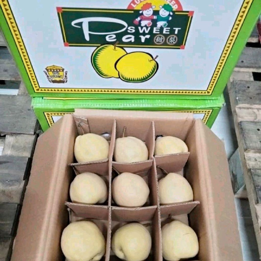 Buah pear sweet madu pear madu super box -+10 kg