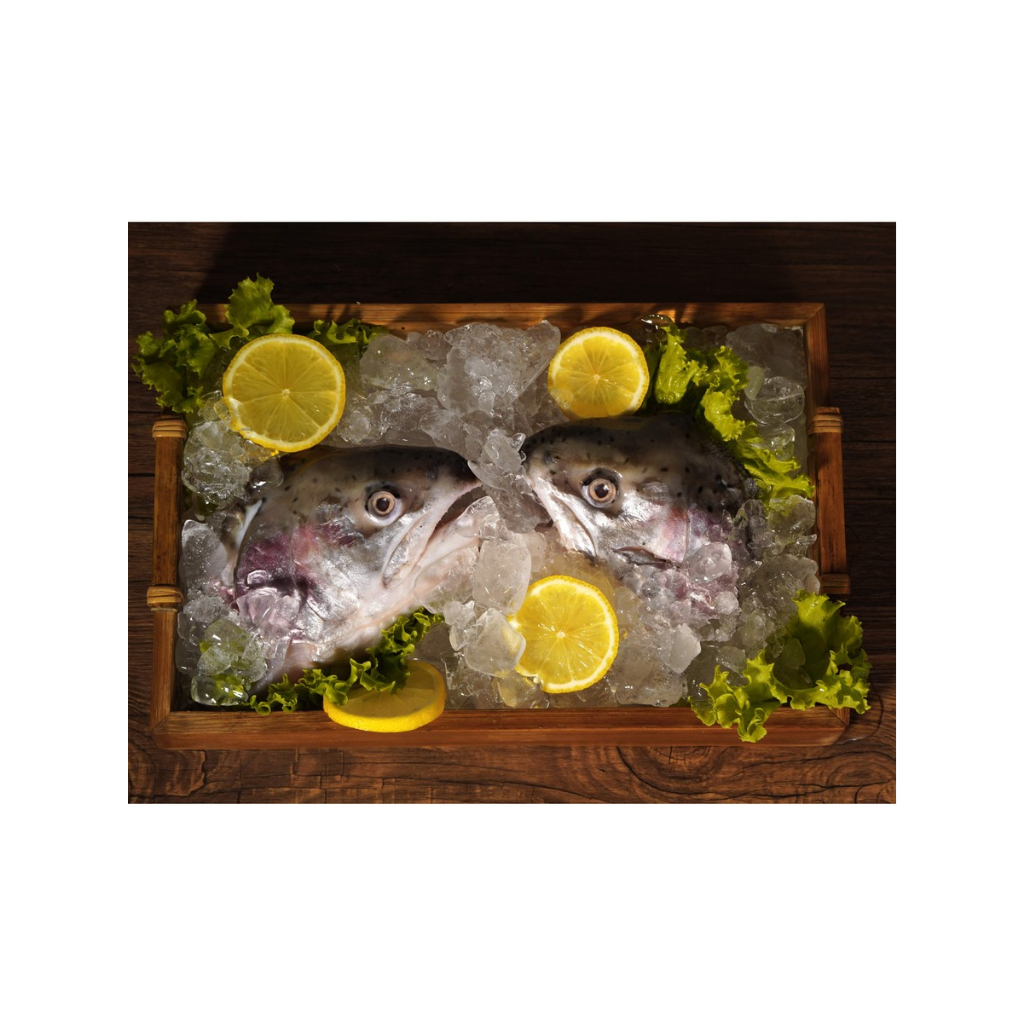 Norwegian Fresh Salmon Head - Kepala Salmon Fresh by Kings Salmon
