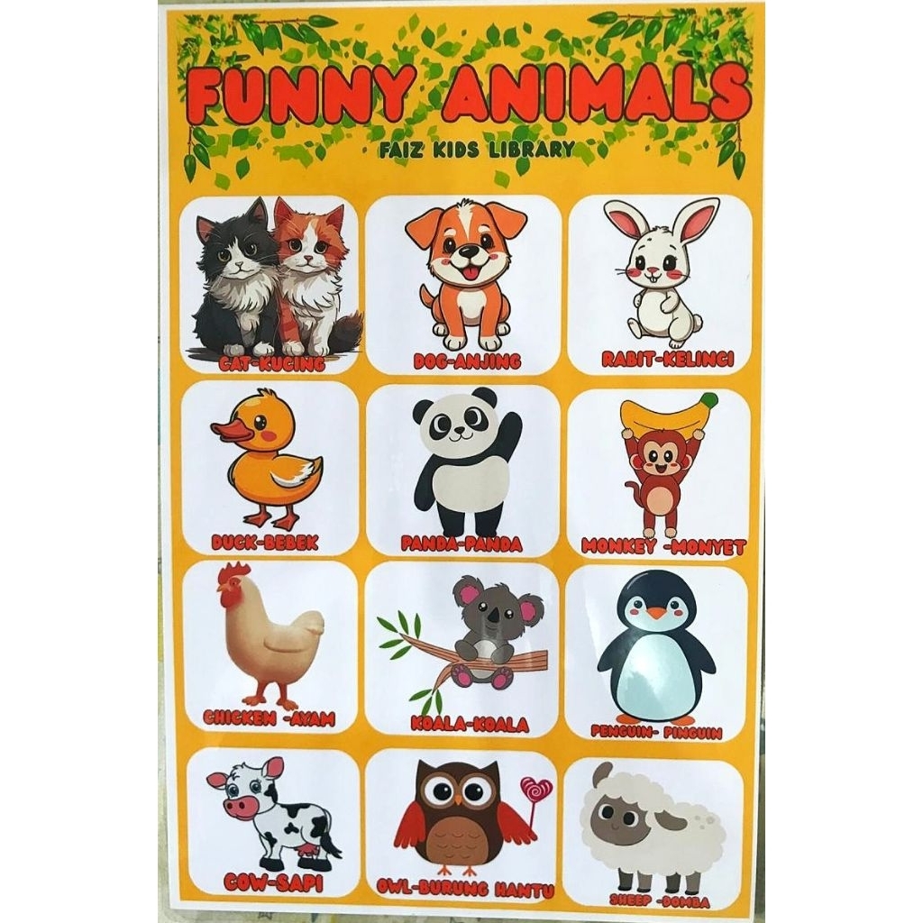 Poster Edukasi Anak 2 Bahasa Inggris Indonesia | Laminating Tebal | 8 Tema Lucu & Warna Cerah | Mula