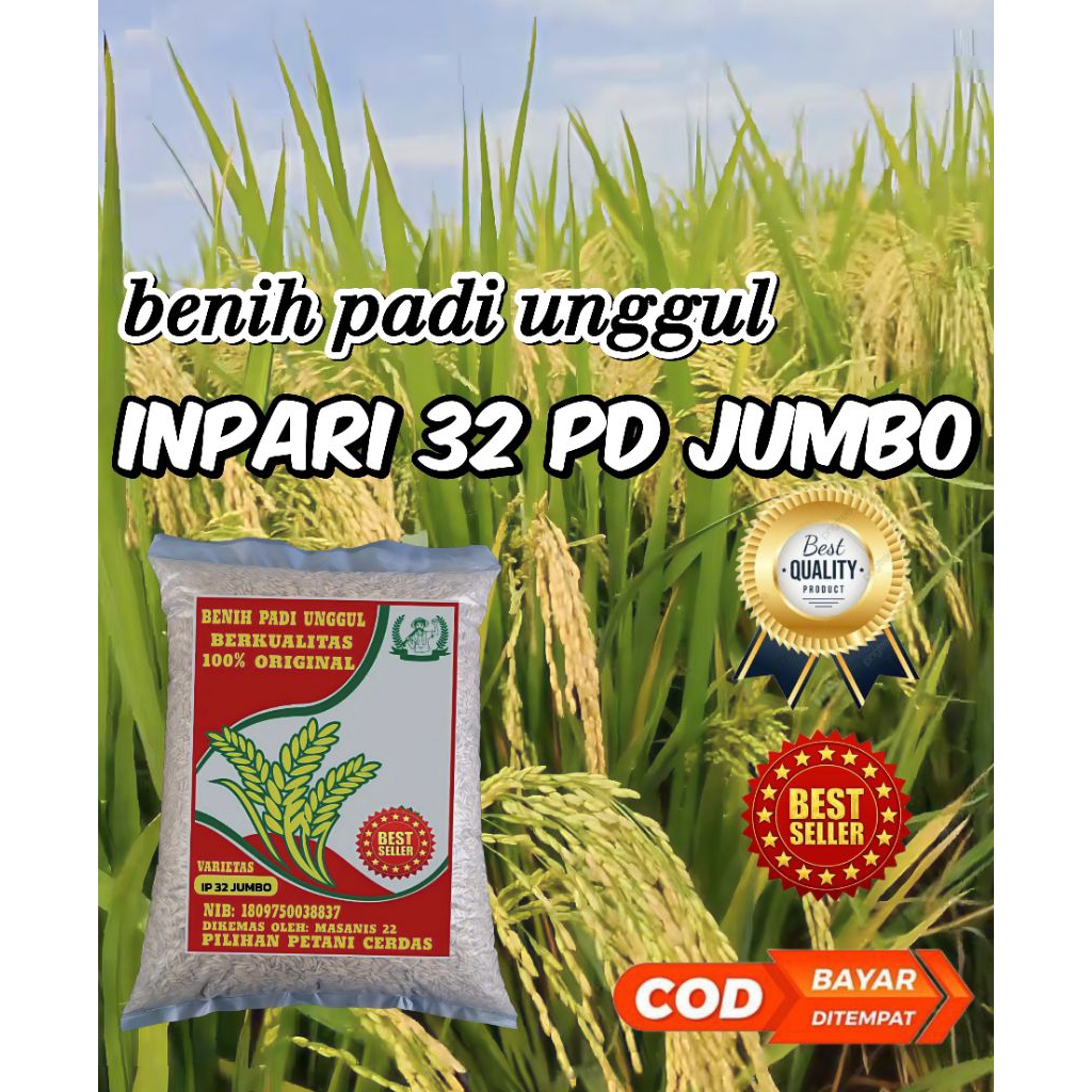 BENIH PADI INPARI 32 PD JUMBO 1KG