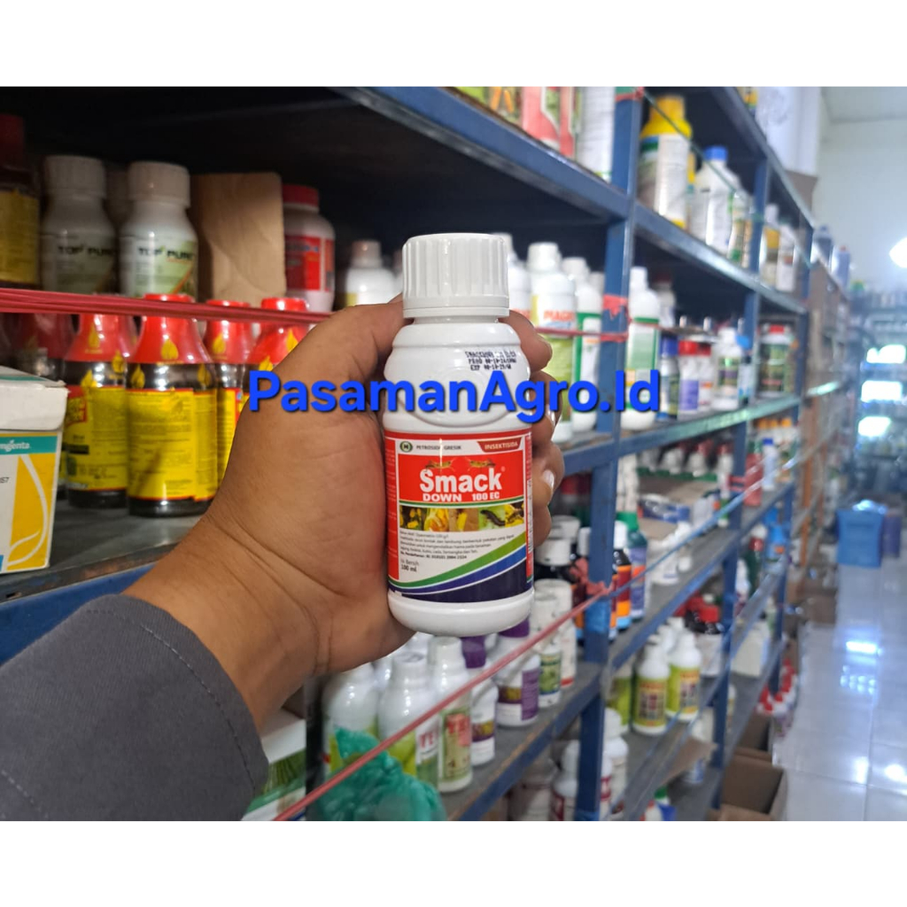 INSEKTISIDA SMACK DOWN 100 EC - 100 ML