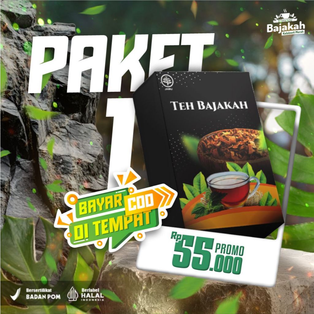 [BEST SELLER] BAJAKAH 100% KALIMANTAN ASLI TEH BAJAKAH  ORIGINAL TEH BAJAKAH