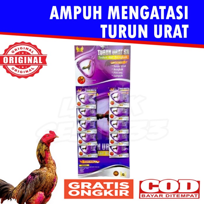TURUN URAT SN 1 RENTENG Obat Turun Urat Tedun Pincang Ayam
