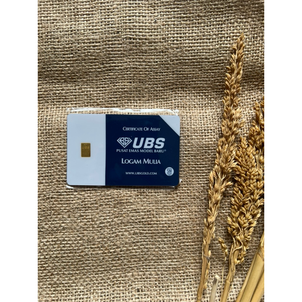 Mini Fine Gold | UBS 0.25 & 0.1 Gram