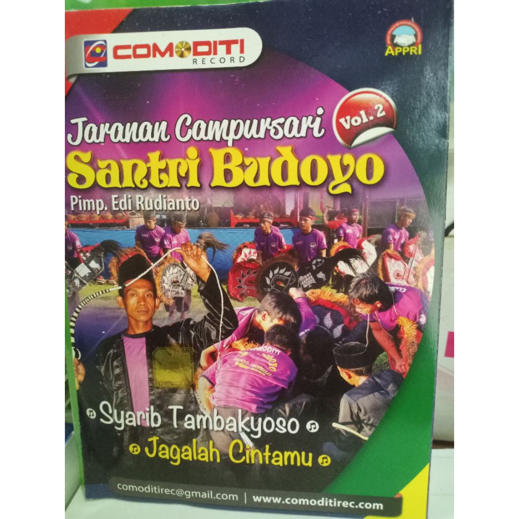 VCD JARANAN SANTRI BUDOYO VOL 2