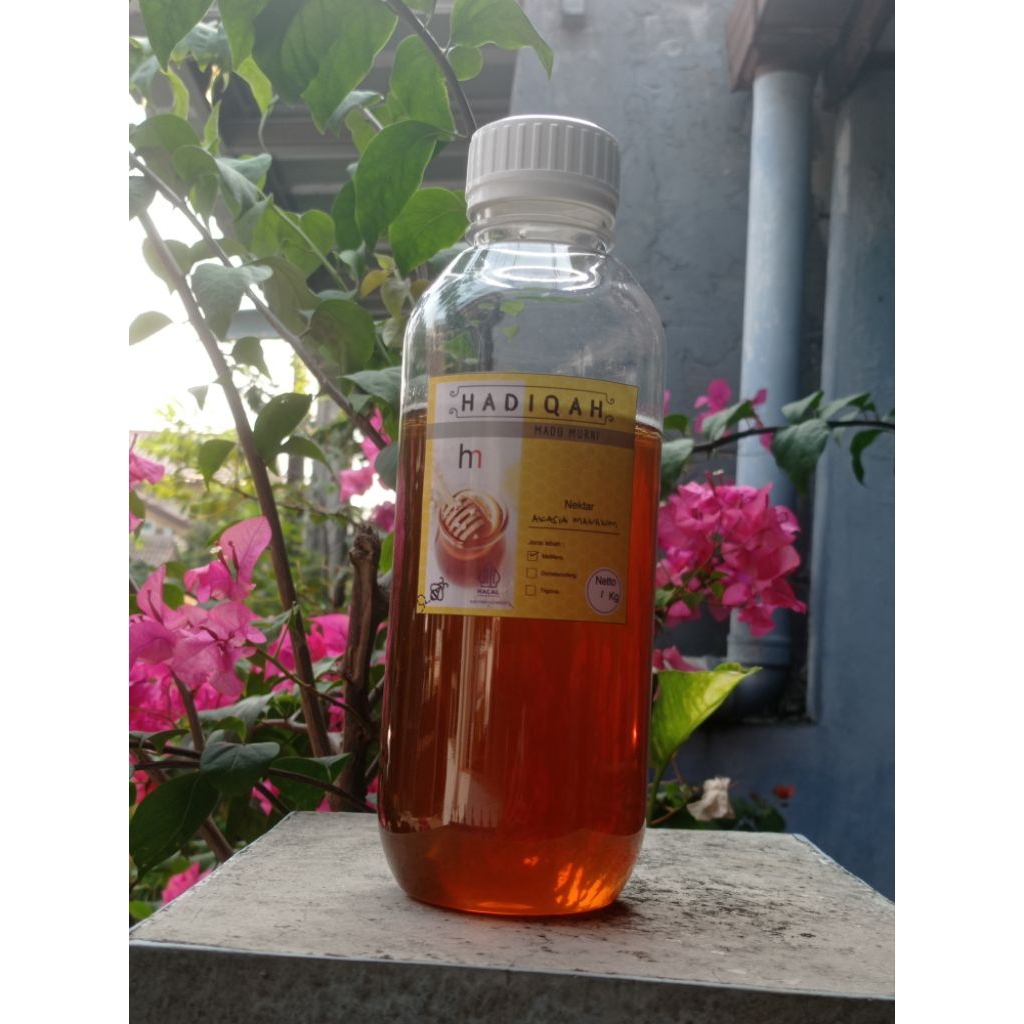 Madu nektar akasia mangium