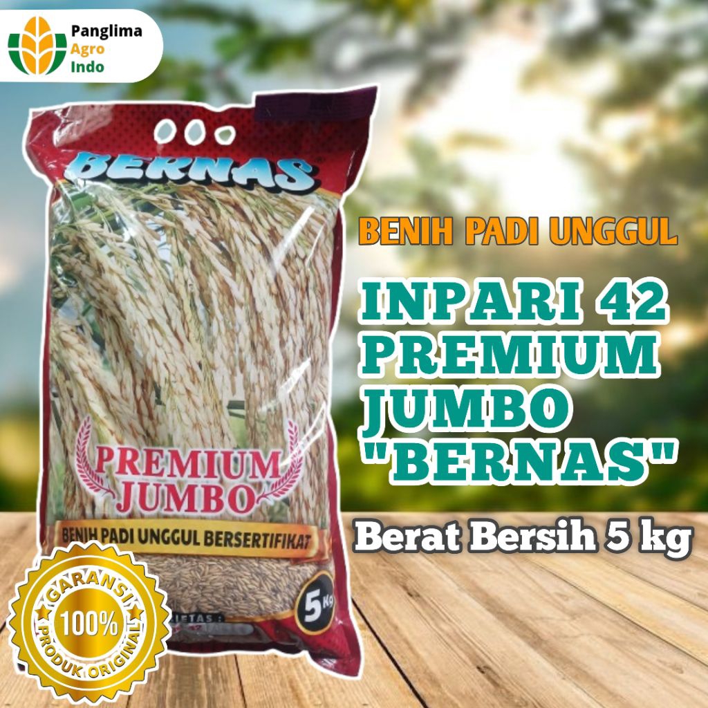Benih Padi Unggul Inpari 42 Premium Jumbo "Bernas" (Berat Bersih 5 kg)