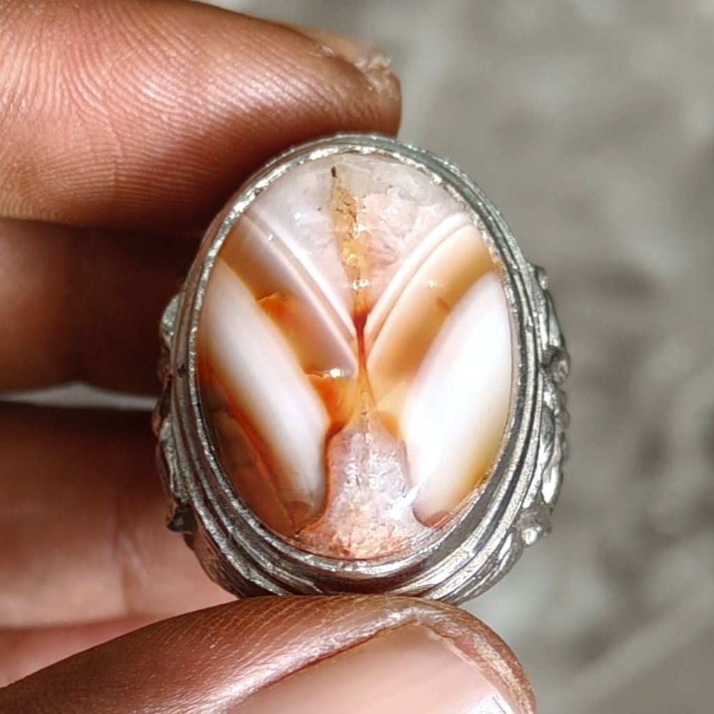 batu akik sulaiman pamor lam alif lawasan