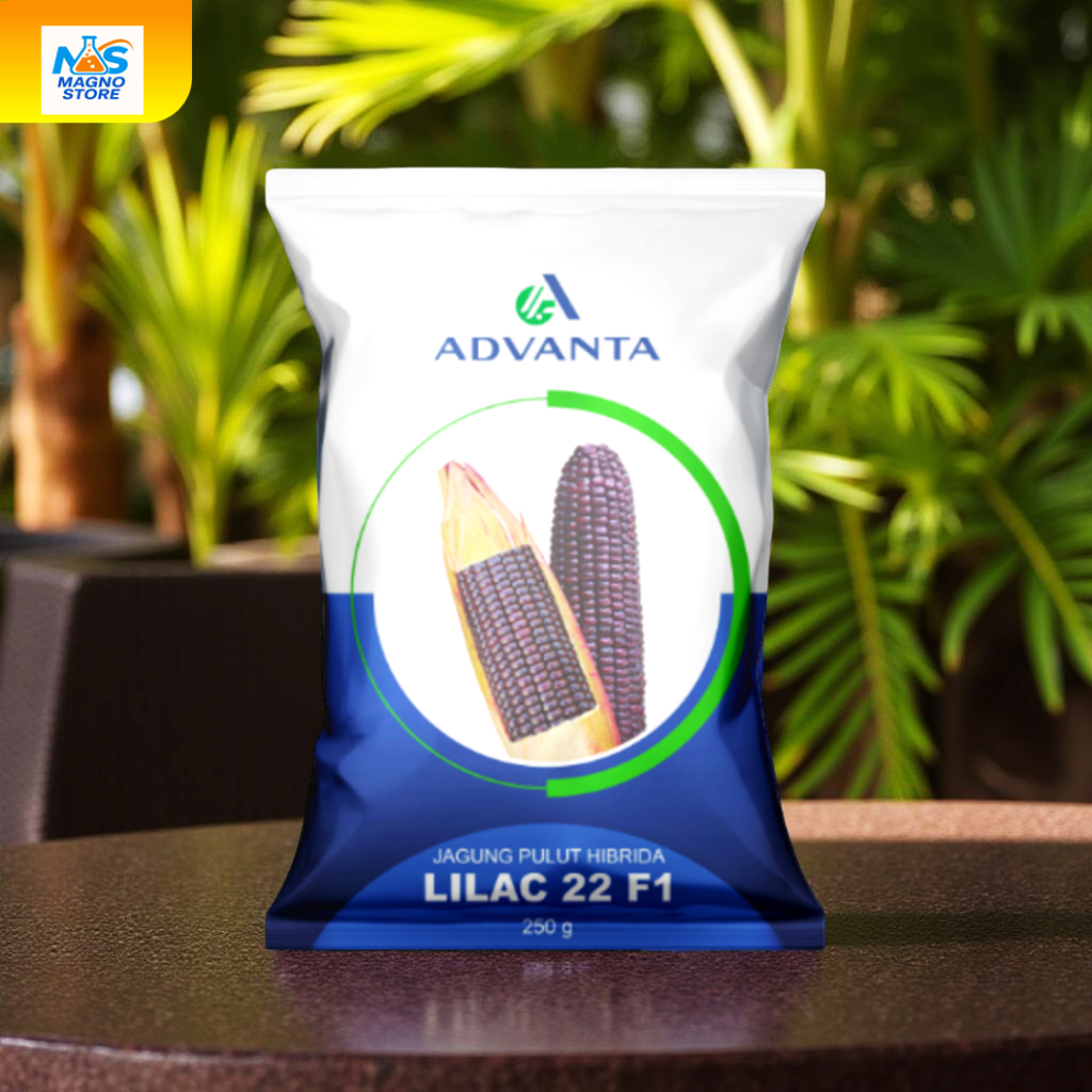 Benih Jagung Pulut Ungu Hibrida Lilac 22 F1 Advanta 250gr – Bibit Jagung Ketan Ungu Manis, Produktif