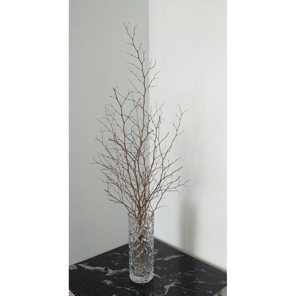 Ranting Kayu Kering Ranting Kering Ranting Dekorasi Ranting Hias Ranting Bunga Kering