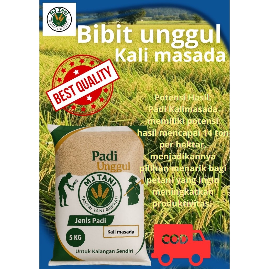 bibit padi unggul KALIMASADA 5kg