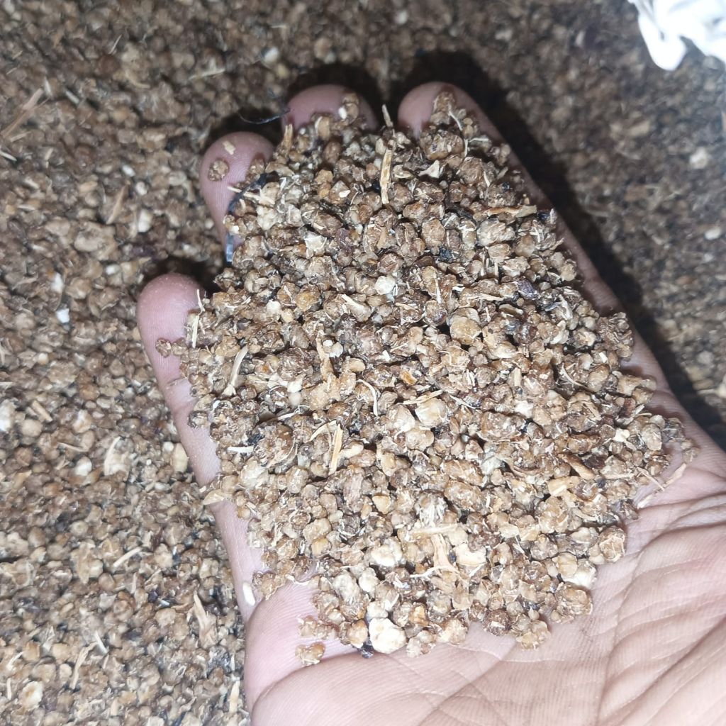 OYEK TIWOL WARNA COKLAT 0.5 KG TANPA BAHAN PENGAWET KUALITAS SUPER KENYAL TIWOL