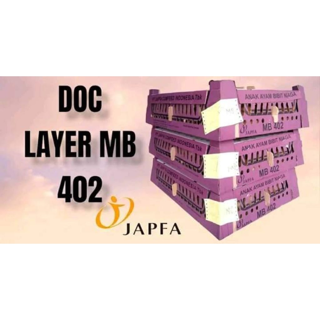 DOC Ayam Petelur Super GROSIR