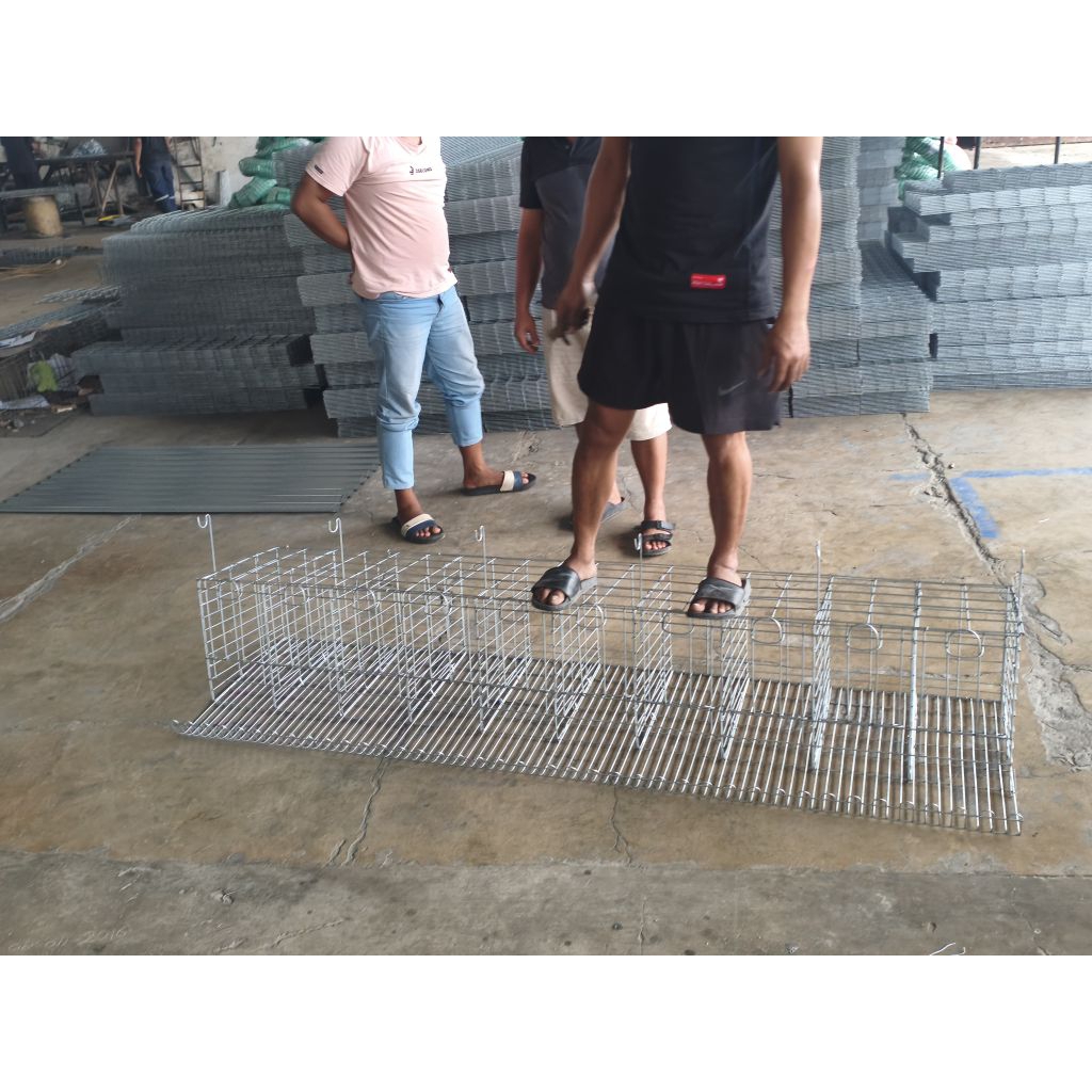 Kandang ayam petelur