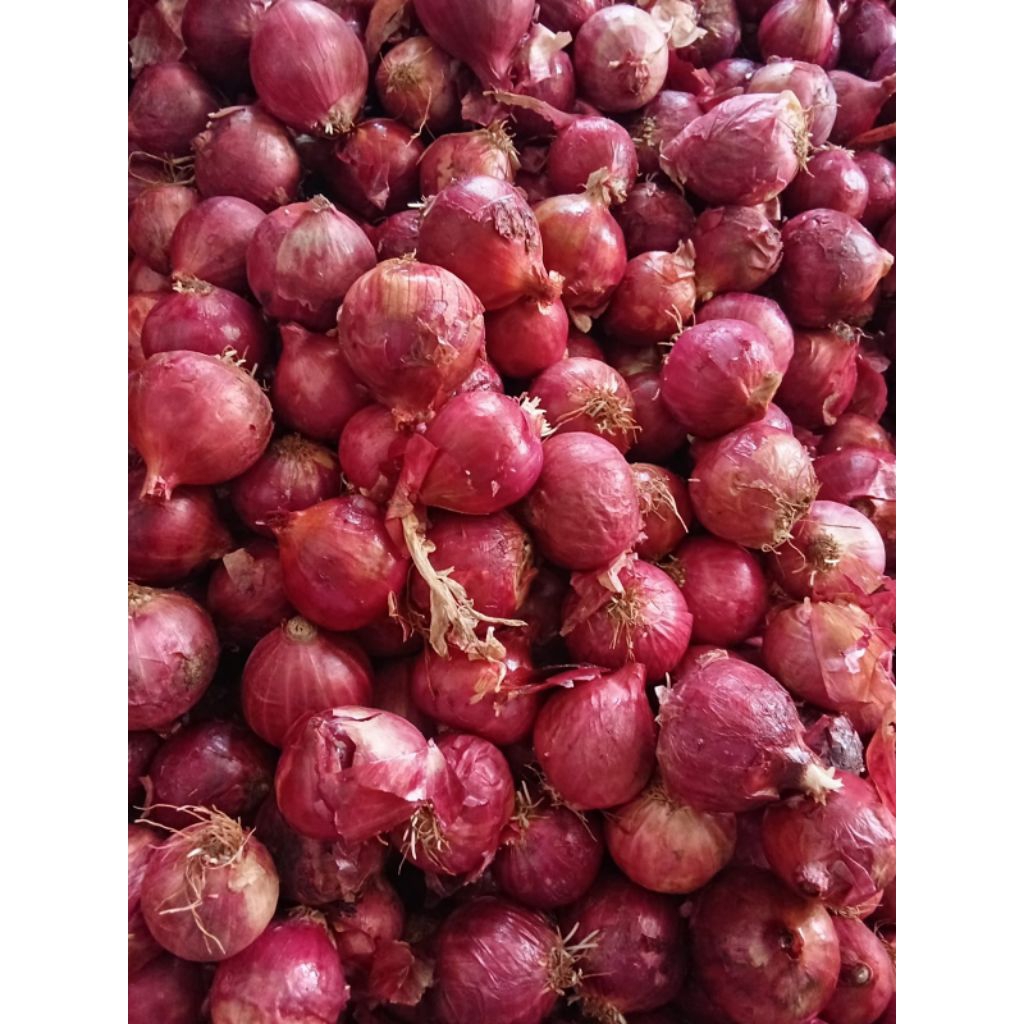 bawang merah india 1kg