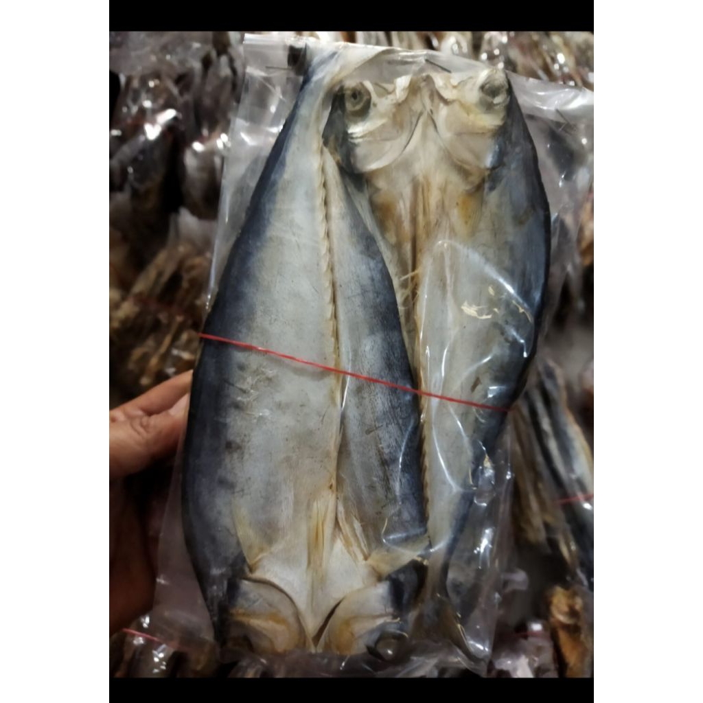 ikan asin kembung/ ikan asin pangandaran /ikan kembung / ikan laut / ikan asin murah / ikan asin gur