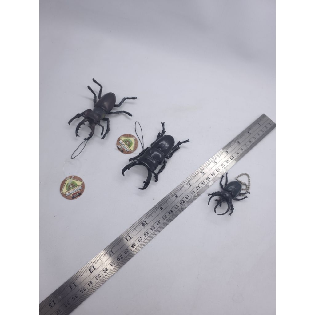 [ori] keyholder key chain gantungan kunci stag beetle kuwagata japan