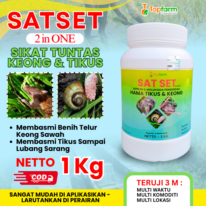 Obat Hama Padi Sawah / Obat Padi Biar Tidak Diserang Tikus / Obat Hama Tikus Dan Keong / Obat Hama K
