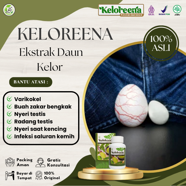Keloreena - Obat Varikokel, Buah Zakar Bengkak, Nyeri Testis Herbal Alami Berkualitas Halal & BPOM