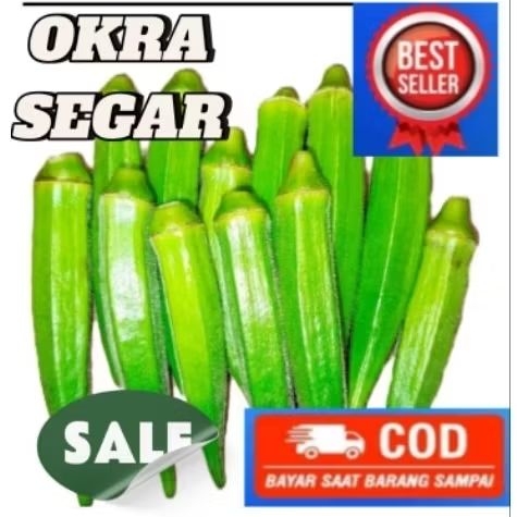 OKRA FRESH 1KG GRADE A BARU PETIK DARI POHON