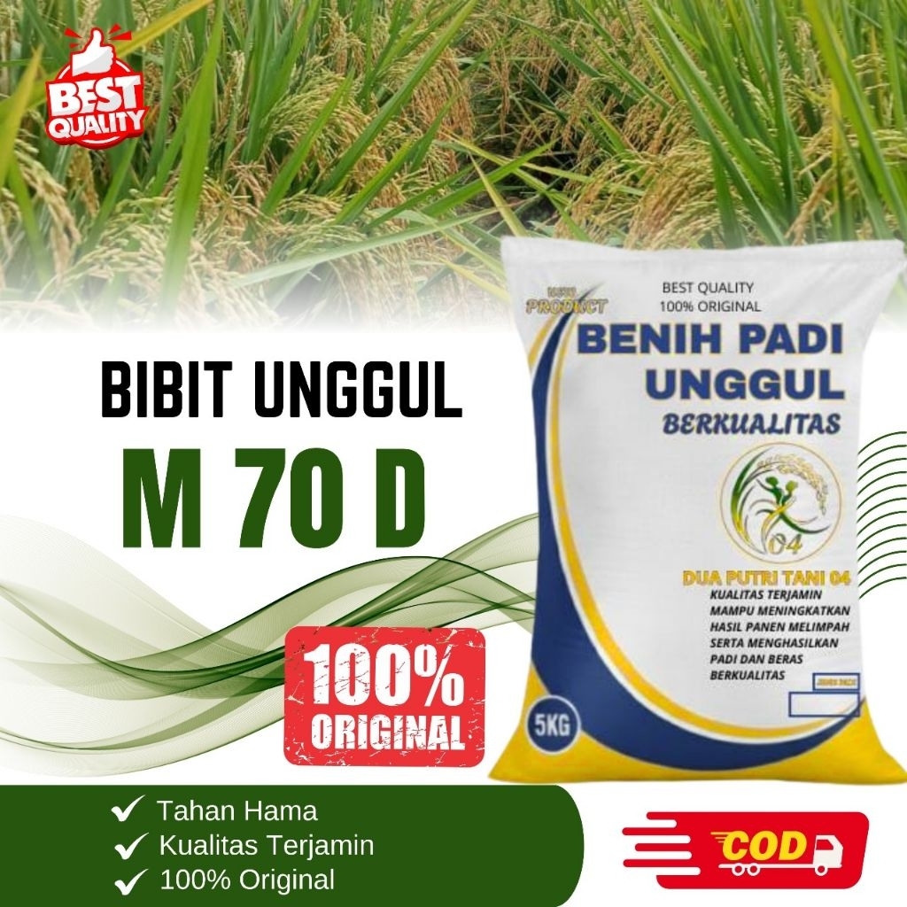 bibit PADI M70D kemasan 5kg